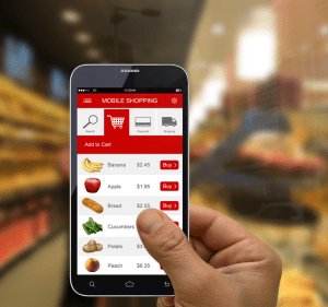 Ecommerce Development